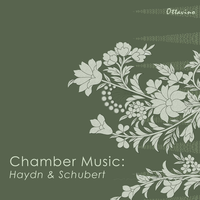 Chamber Music: Haydn & Schubert