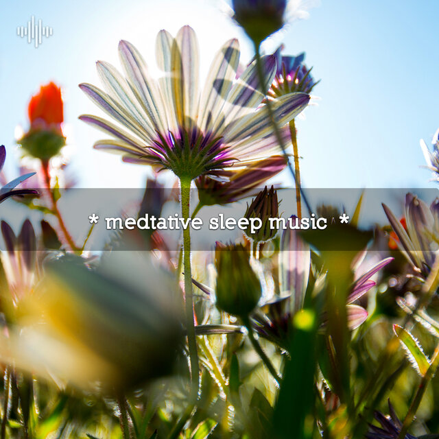 * medtative sleep music  *