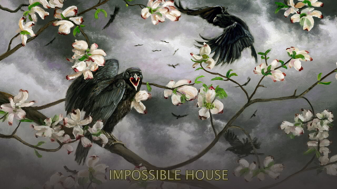 Impossible House
