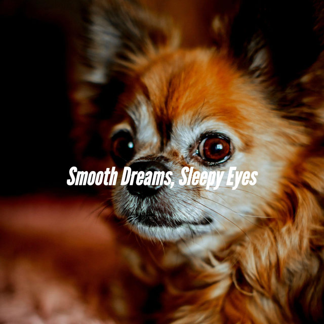 Smooth Dreams, Sleepy Eyes