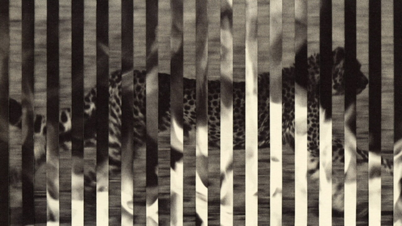 cXz (Visualizer)