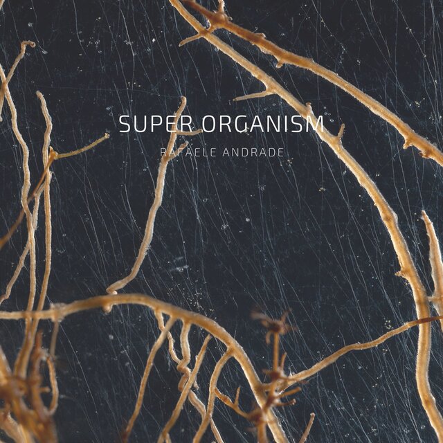 Super organism