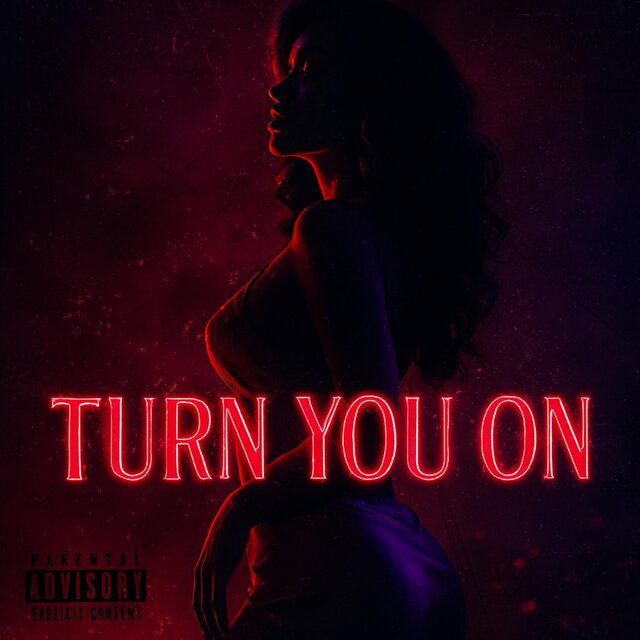 TURN YOU ON