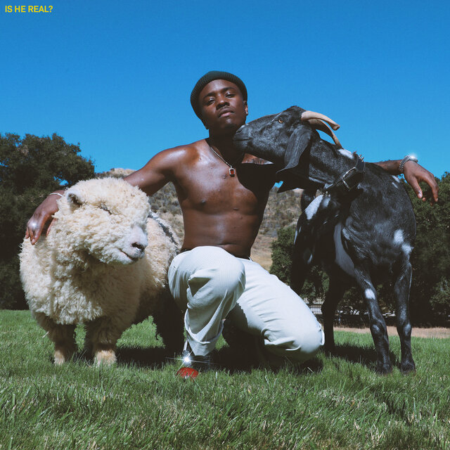 Cover art for album Is He Real? by IDK