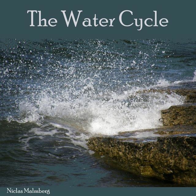The water cycle