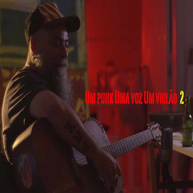Um Punk, uma Voz, um Violão, Vol. 2