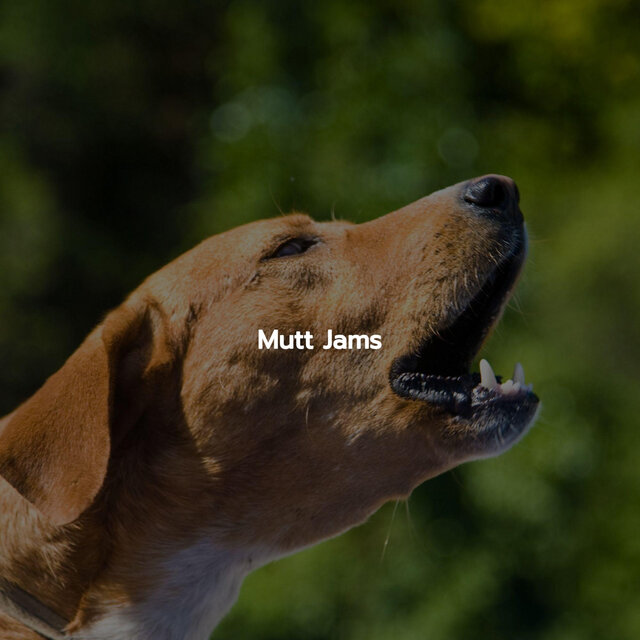 Mutt Jams