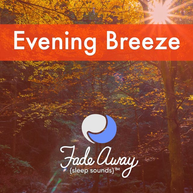 Evening Breeze (Ambient Sound)