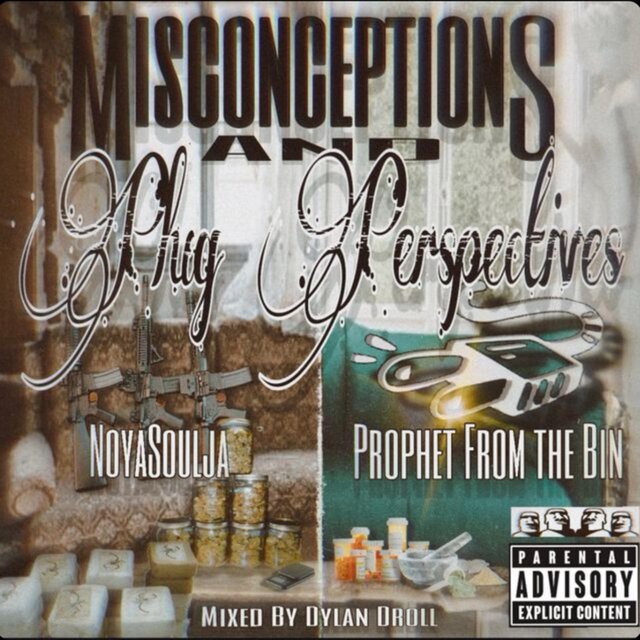 Misconceptions & Plug Perspectives