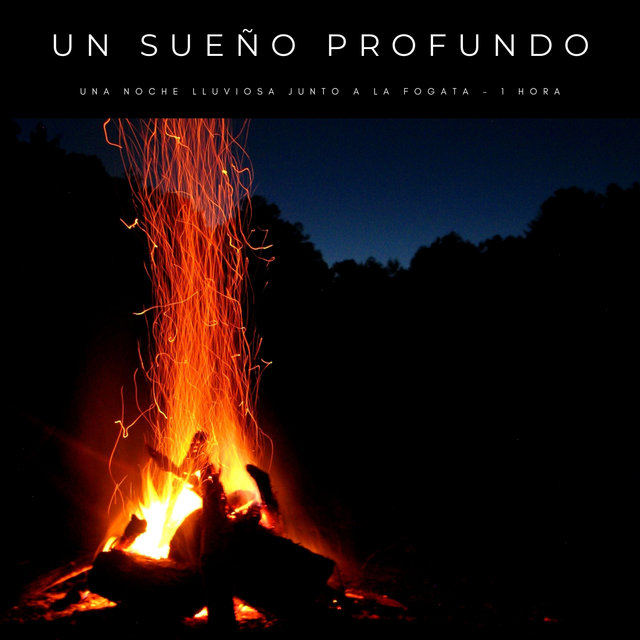 Un Sueño Profundo: Una Noche Lluviosa Junto A La Fogata - 1 Hora