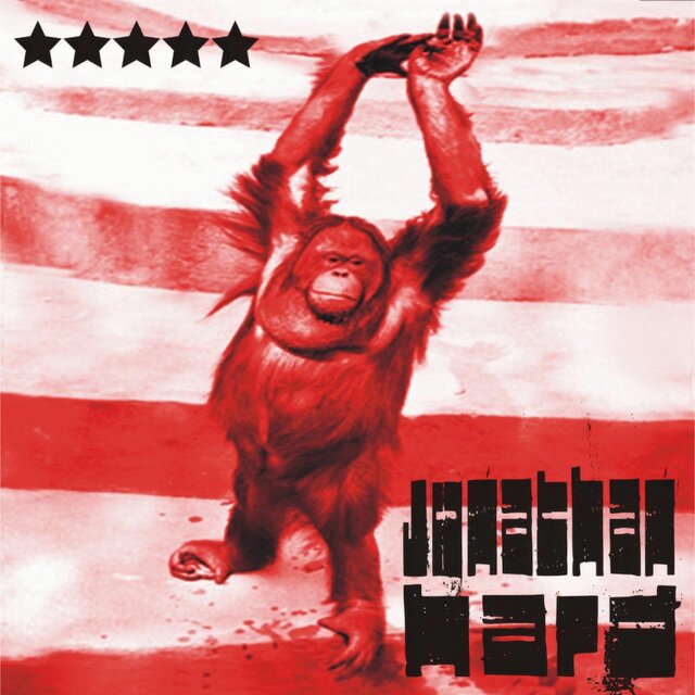 Orangutan