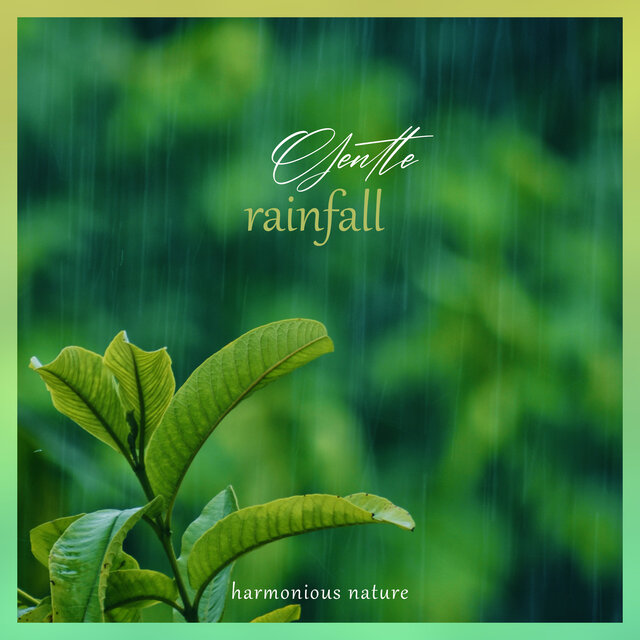 Gentle Rainfall