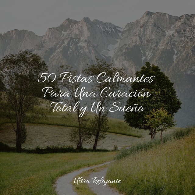 50 Pistas Calmantes Para Una Curación Total y Un Sueño