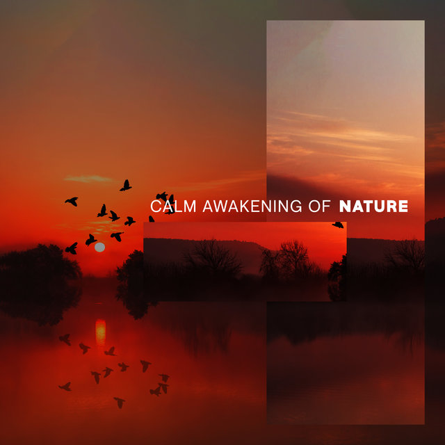 Calm Awakening of Nature: Relaxing Sounds of Singing Birds