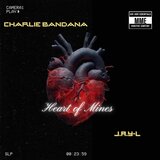 Heart Of Mines