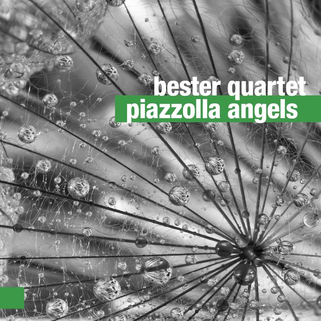 Cover art for album Piazzolla Angels by Bester Quartet