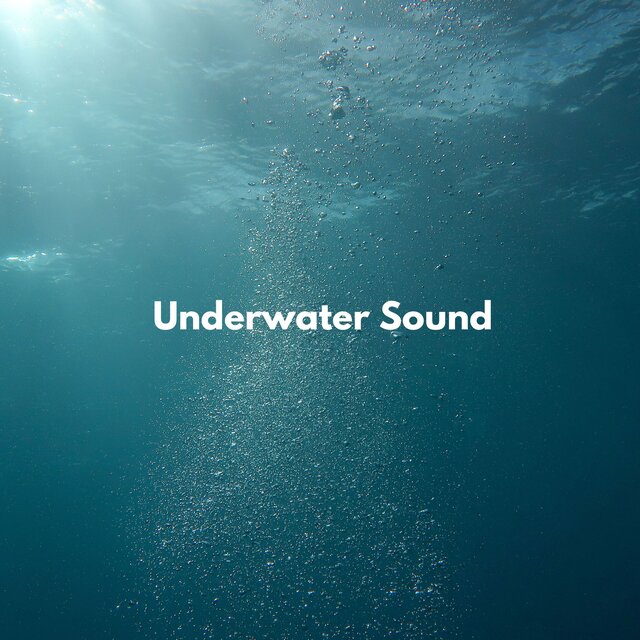Ocean Waves