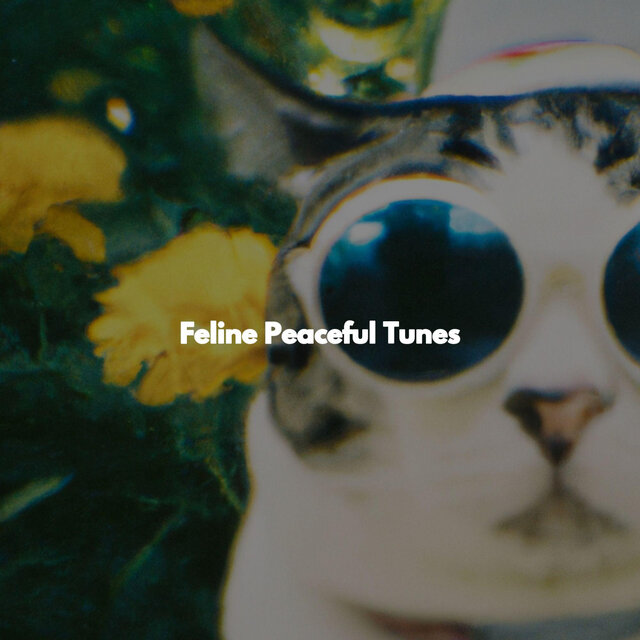 Feline Peaceful Tunes