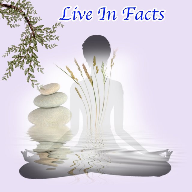 Live In Facts