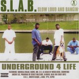 Slab Shotz (S.L.A.B.ed)