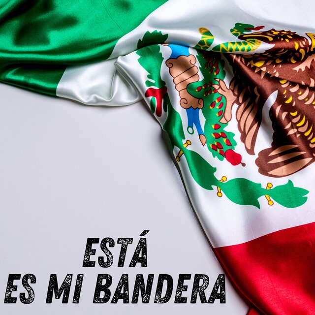 ESTÁ ES MI BANDERA