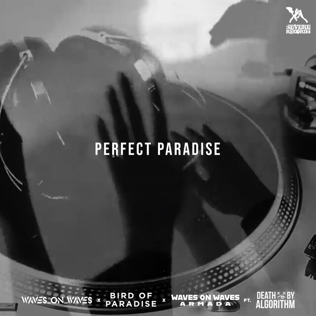 Perfect Paradise