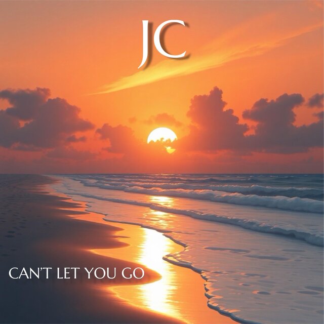 Can't Let You Go