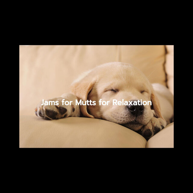 Jams for Mutts for Relaxation