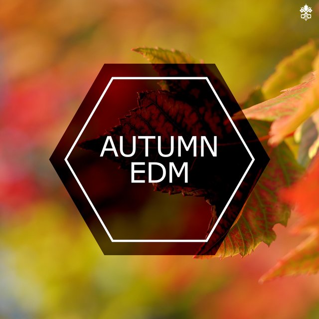 Autumn EDM