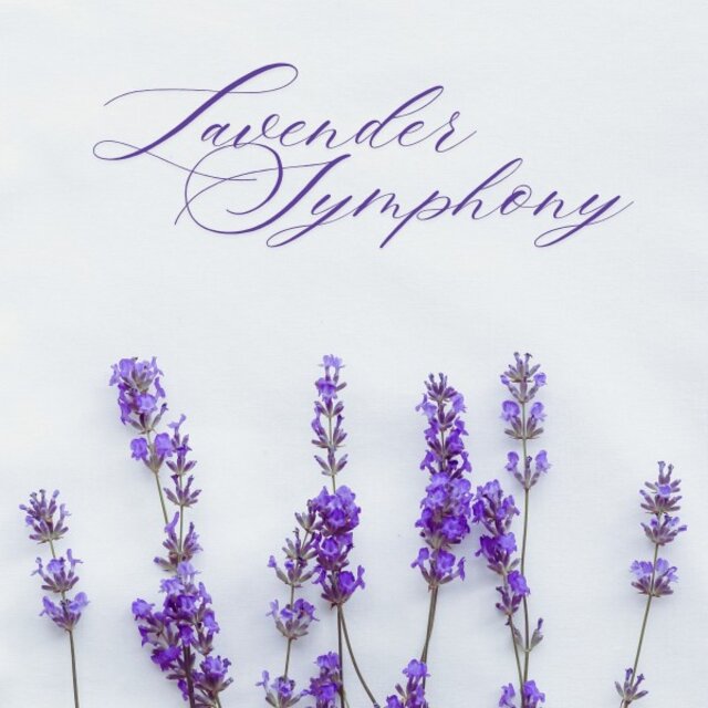 Lavender Symphony: Deep Sleep Music