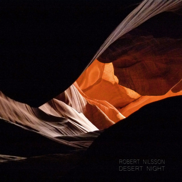 Desert Night