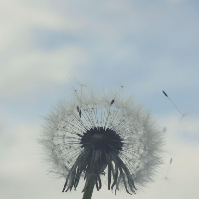 Feeling Free