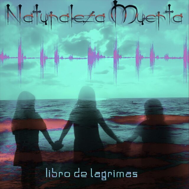 Libro De Lagrimas