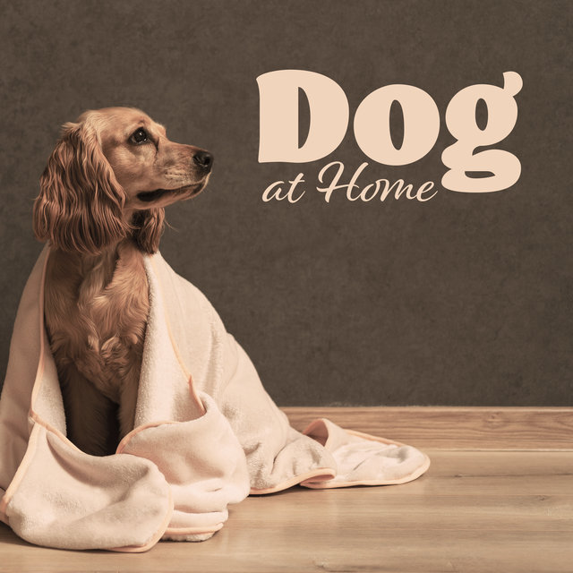 Dog At Home: Music To Help Calm And Tame Your Dog