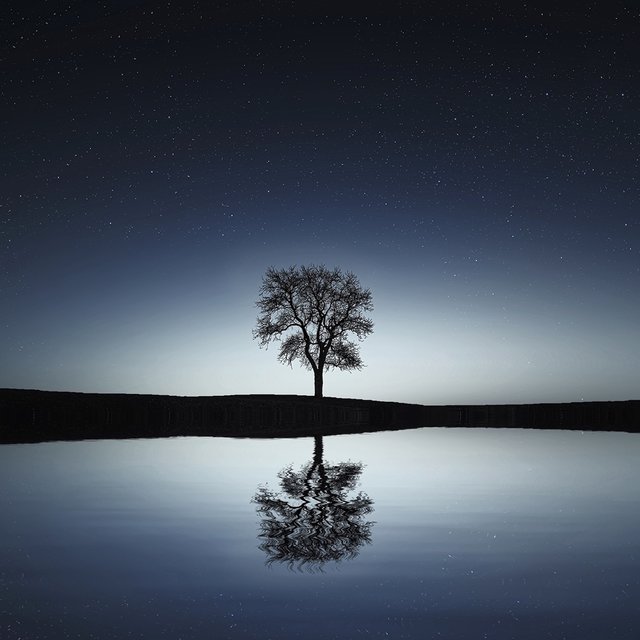 60 Reiki Songs for Ultimate Relaxation