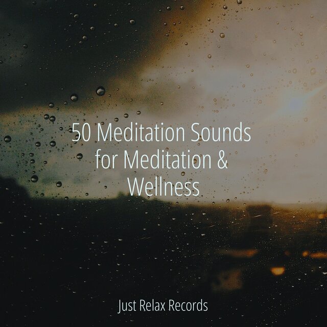 50 Meditation Sounds for Meditation & Wellness