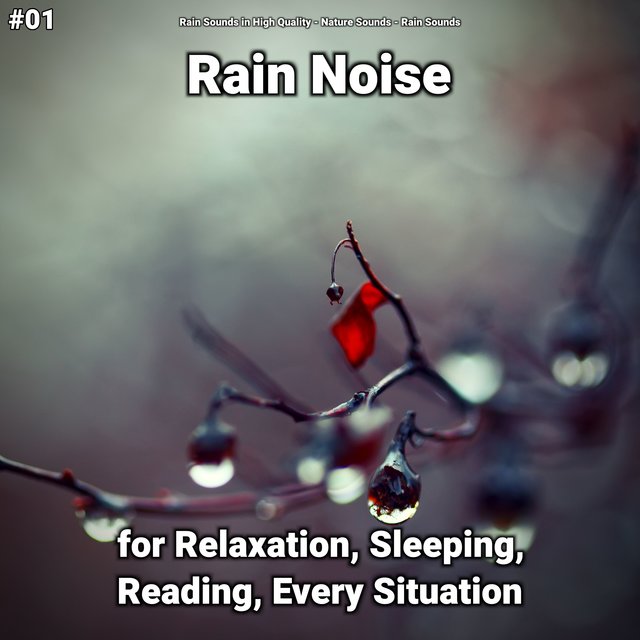 #01 Rain Noise for Relaxation, Sleeping, Reading, Every Situation