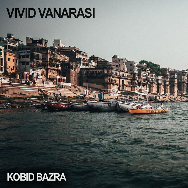 VIVID VANARASI