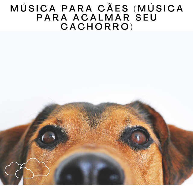 Música Para Cães (Música Para Acalmar Seu Cachorro)
