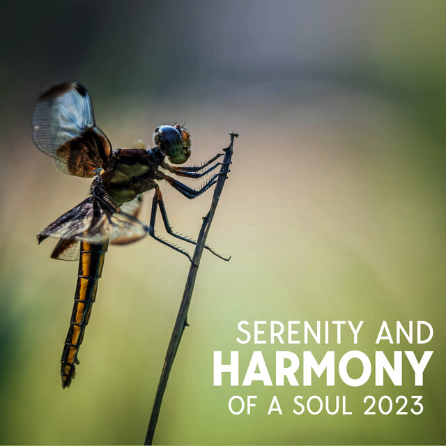 Serenity And Harmony of A Soul 2023