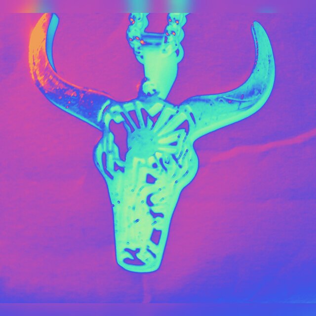 Stubborn Like A Bull