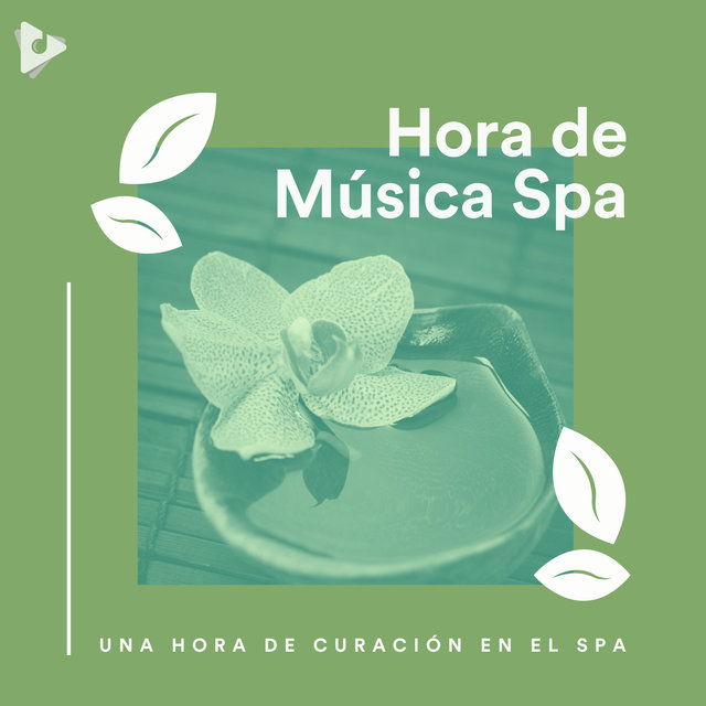 Una Hora de Curación en el Spa