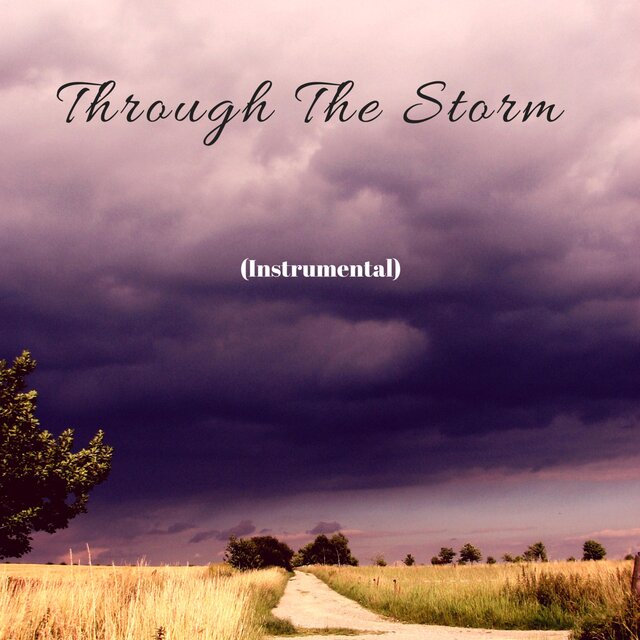 Through the Storm
