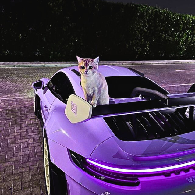 Porsche
