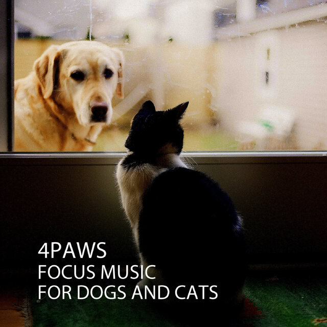 4PAWS: Focus Music For Dogs and Cats