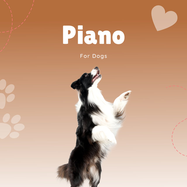 Piano For Dogs