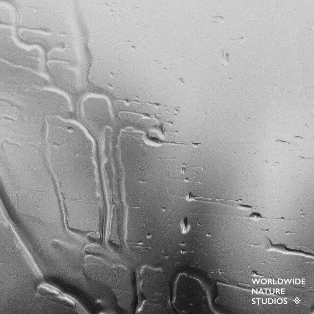 Rain Sounds Vol. 2