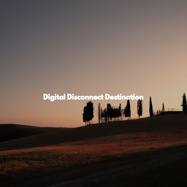 Digital Disconnect Destination
