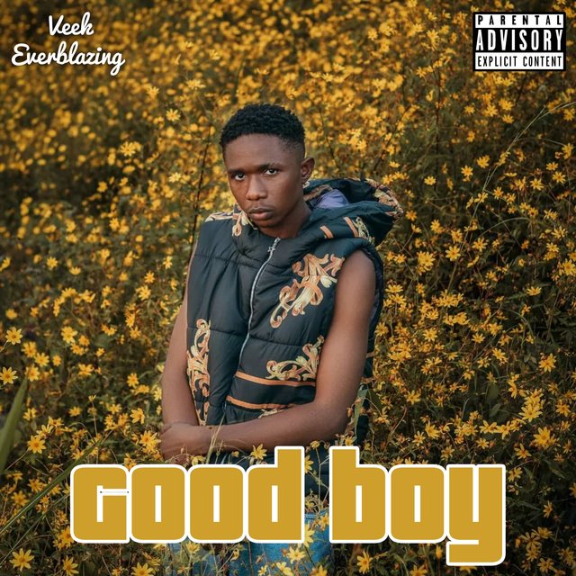 Good Boy