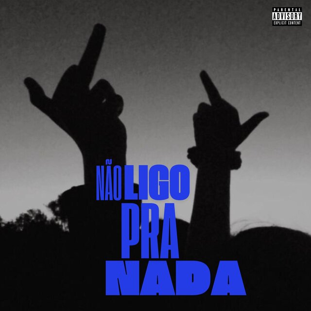 Não Ligo Pra Nada